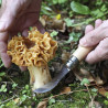 Opinel Knife for mushroom pickers