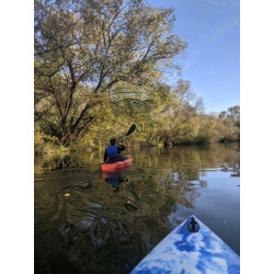 SWISS Egalis One-Piece Straight Paddle | 230cm long paddles